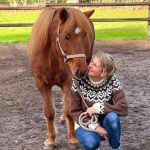 Pferde helfen im Antidepressiva-Entzug